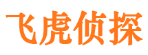 郸城市调查公司